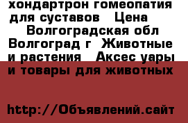 хондартрон гомеопатия для суставов › Цена ­ 600 - Волгоградская обл., Волгоград г. Животные и растения » Аксесcуары и товары для животных   